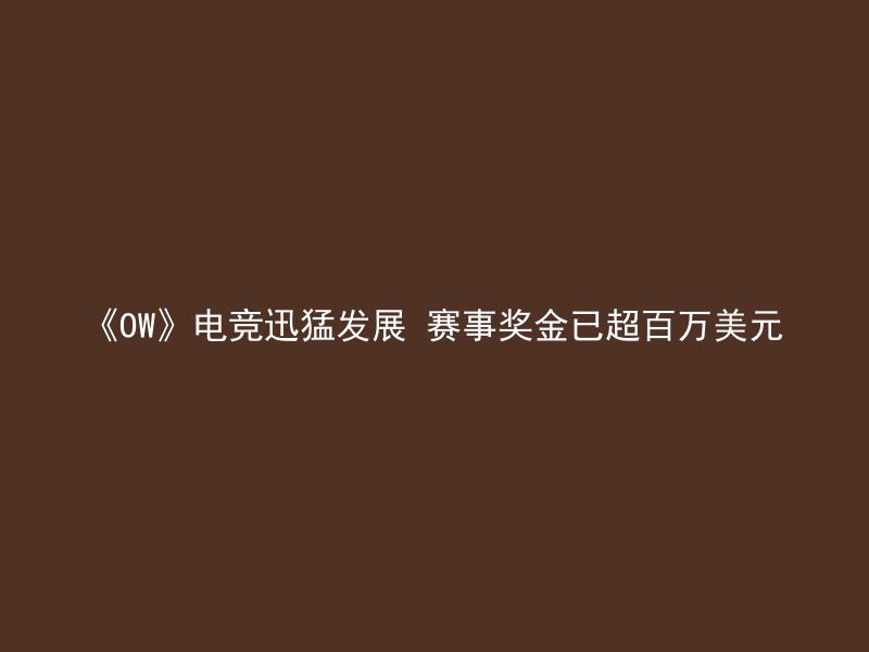 《OW》电竞迅猛发展 赛事奖金已超百万美元