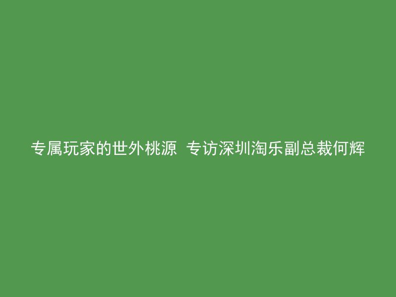 专属玩家的世外桃源 专访深圳淘乐副总裁何辉