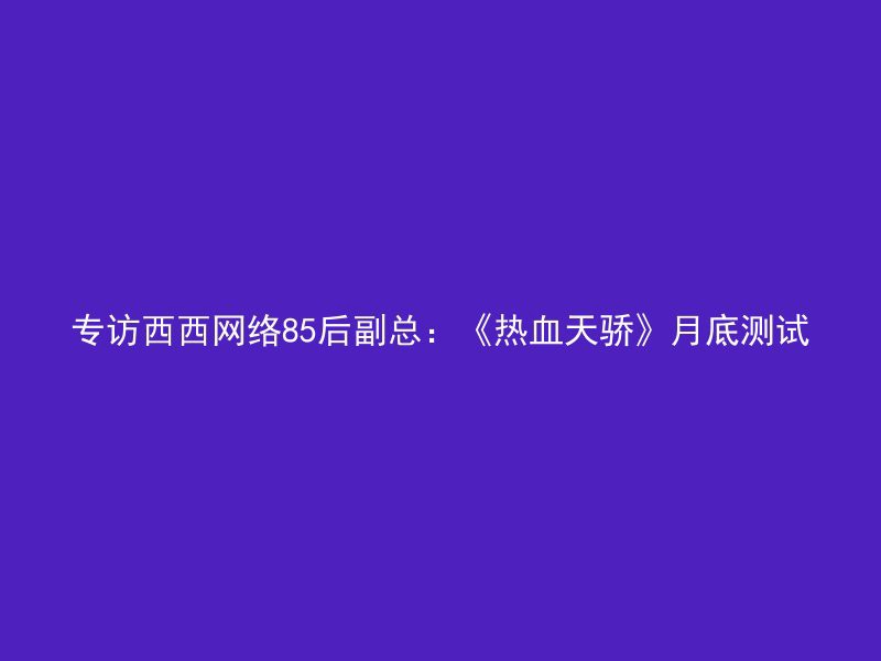 专访西西网络85后副总：《热血天骄》月底测试