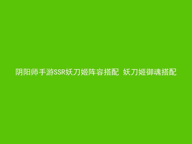 阴阳师手游SSR妖刀姬阵容搭配 妖刀姬御魂搭配