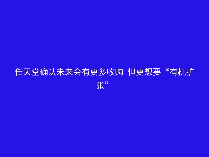 任天堂确认未来会有更多收购 但更想要“有机扩张”