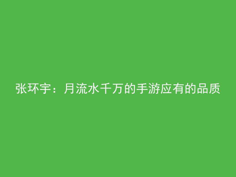 张环宇：月流水千万的手游应有的品质