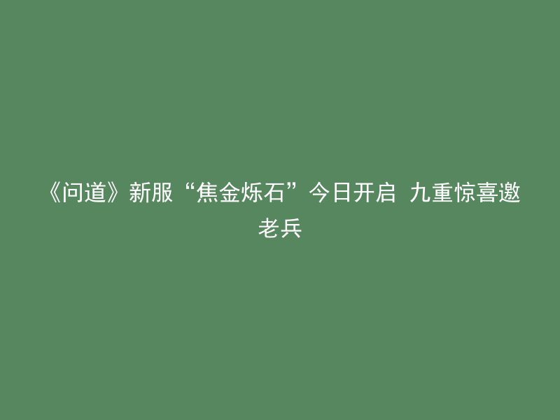 《问道》新服“焦金烁石”今日开启 九重惊喜邀老兵