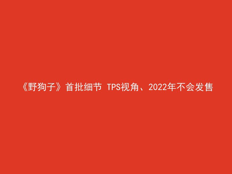 《野狗子》首批细节 TPS视角、2022年不会发售