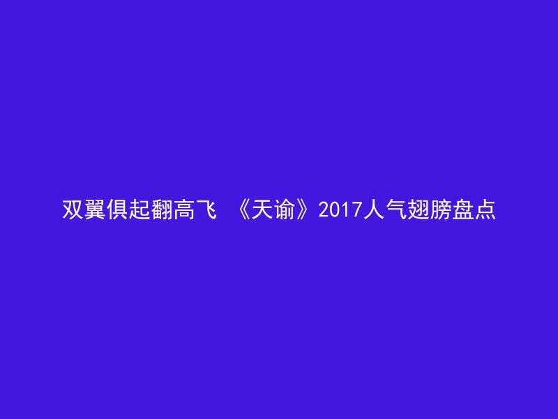 双翼俱起翻高飞 《天谕》2017人气翅膀盘点