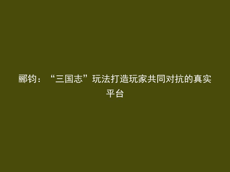 郦钧：“三国志”玩法打造玩家共同对抗的真实平台