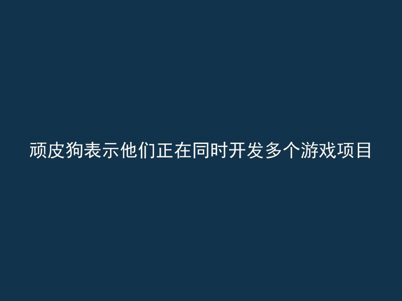 顽皮狗表示他们正在同时开发多个游戏项目