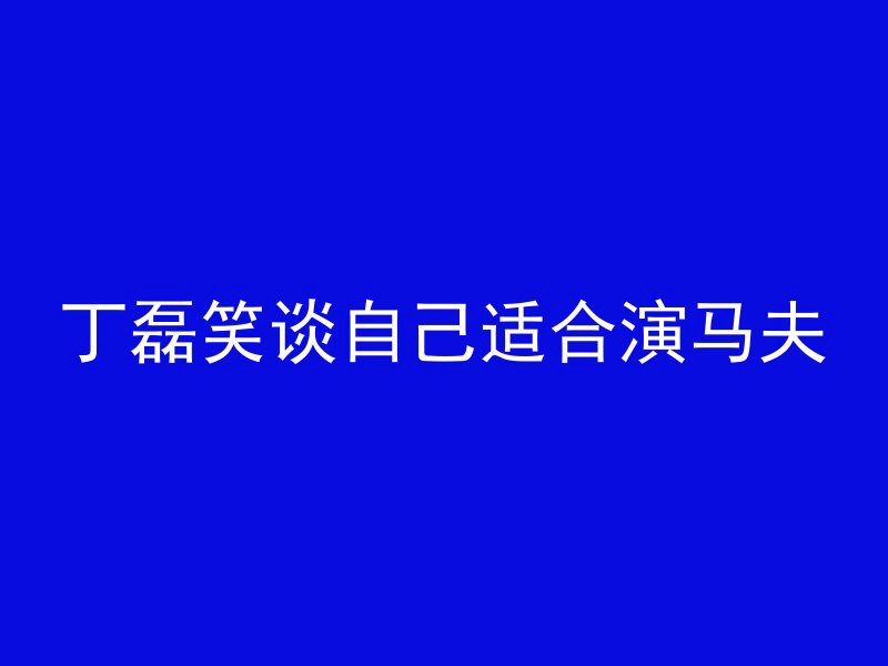 丁磊笑谈自己适合演马夫