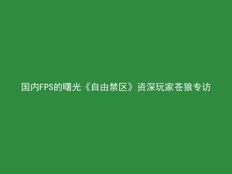 国内FPS的曙光《自由禁区》资深玩家苍狼专访