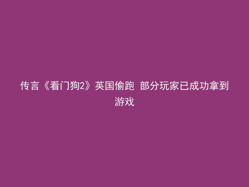 传言《看门狗2》英国偷跑 部分玩家已成功拿到游戏