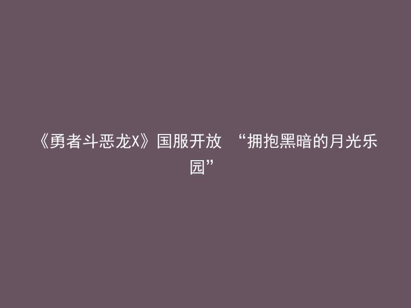 《勇者斗恶龙X》国服开放 “拥抱黑暗的月光乐园”