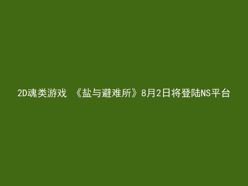 2D魂类游戏 《盐与避难所》8月2日将登陆NS平台