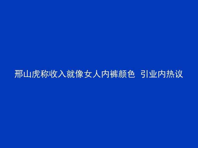 邢山虎称收入就像女人内裤颜色 引业内热议