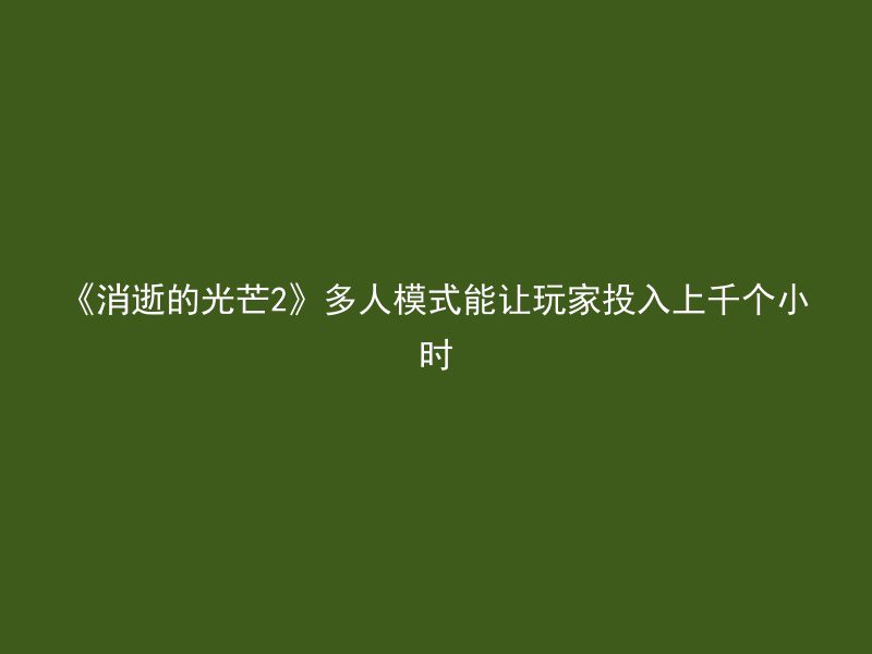 《消逝的光芒2》多人模式能让玩家投入上千个小时