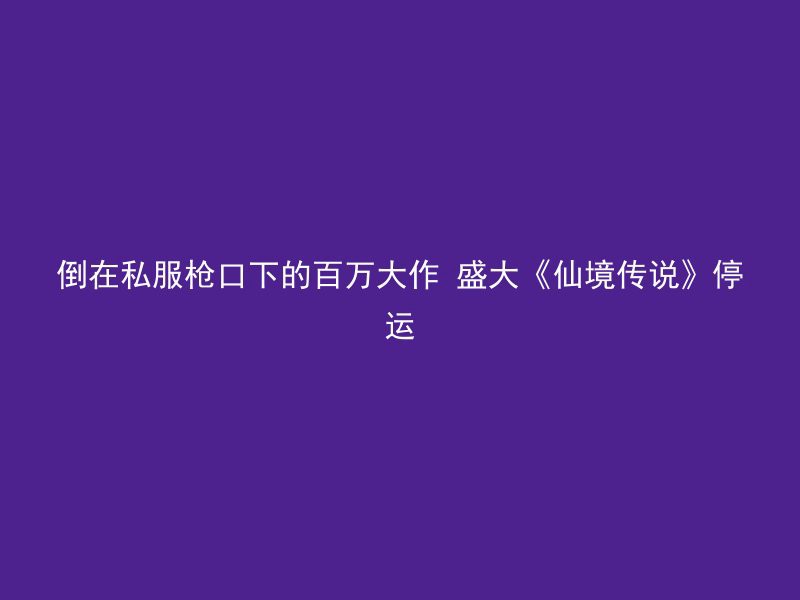 倒在私服枪口下的百万大作 盛大《仙境传说》停运