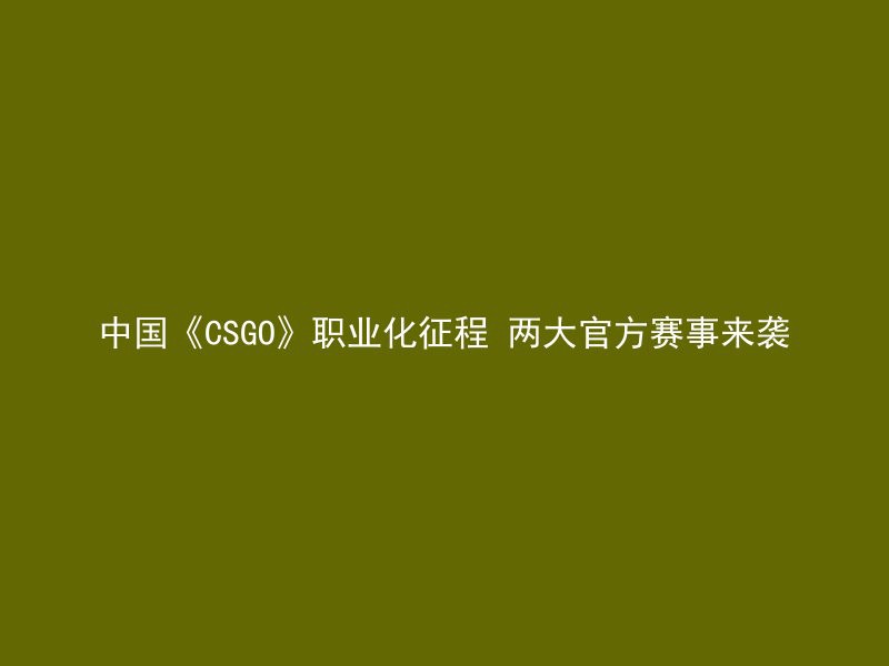 中国《CSGO》职业化征程 两大官方赛事来袭