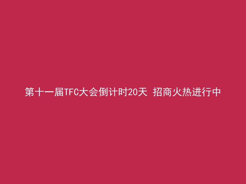 第十一届TFC大会倒计时20天 招商火热进行中