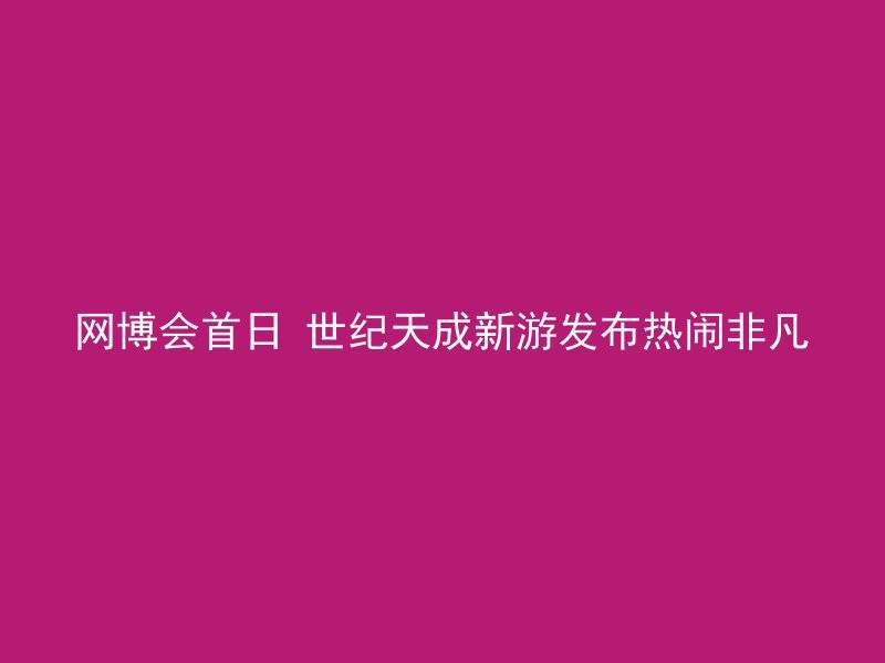 网博会首日 世纪天成新游发布热闹非凡