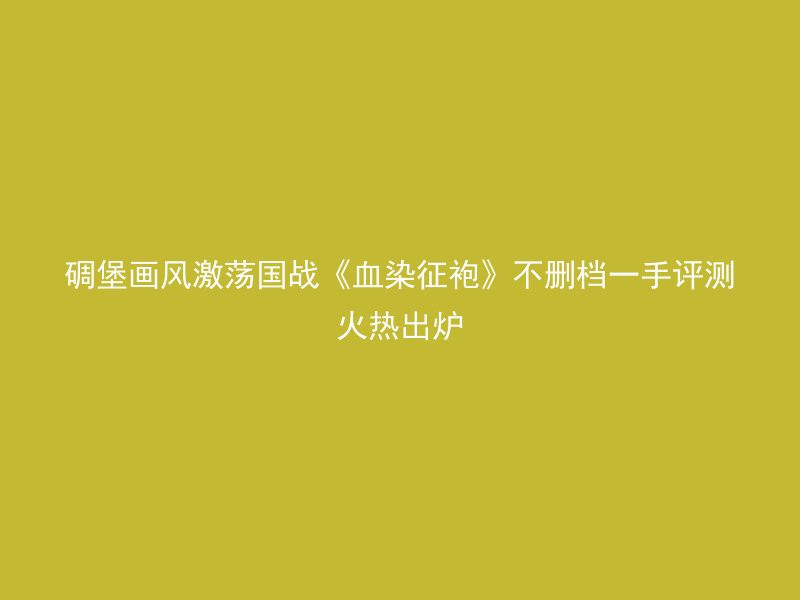 碉堡画风激荡国战《血染征袍》不删档一手评测火热出炉