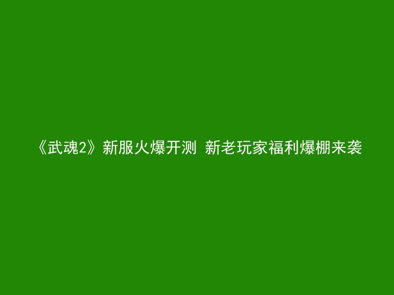 《武魂2》新服火爆开测 新老玩家福利爆棚来袭