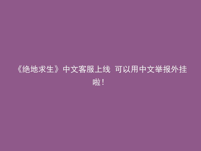 《绝地求生》中文客服上线 可以用中文举报外挂啦！