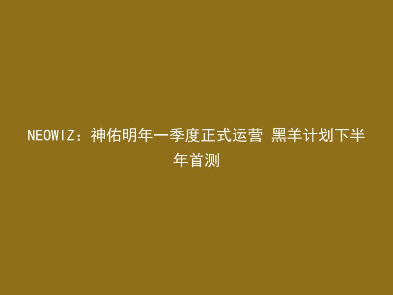 NEOWIZ：神佑明年一季度正式运营 黑羊计划下半年首测