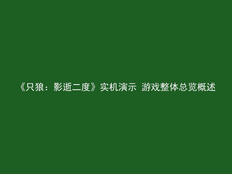 《只狼：影逝二度》实机演示 游戏整体总览概述