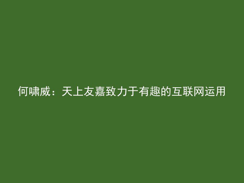 何啸威：天上友嘉致力于有趣的互联网运用