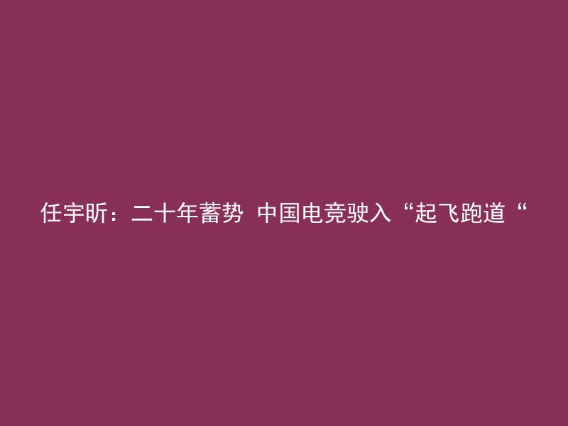 任宇昕：二十年蓄势 中国电竞驶入“起飞跑道“