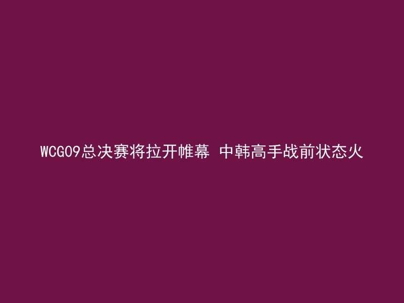 WCG09总决赛将拉开帷幕 中韩高手战前状态火