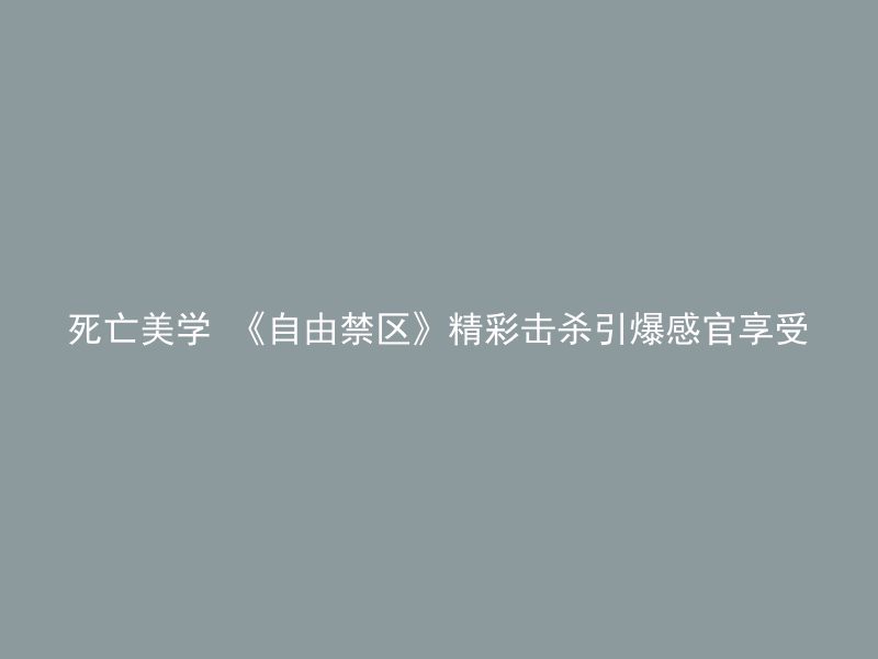 死亡美学 《自由禁区》精彩击杀引爆感官享受