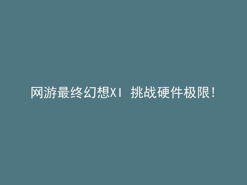 网游最终幻想XI 挑战硬件极限!