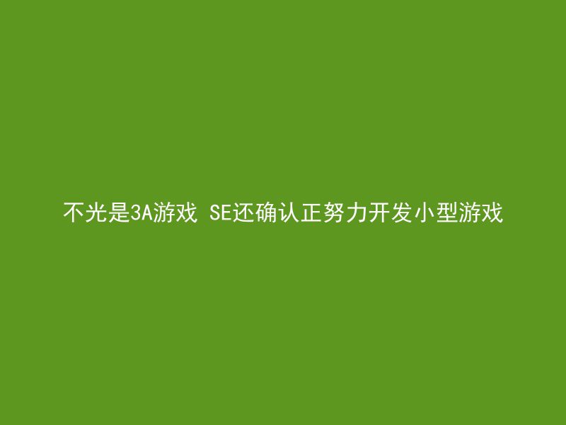 不光是3A游戏 SE还确认正努力开发小型游戏