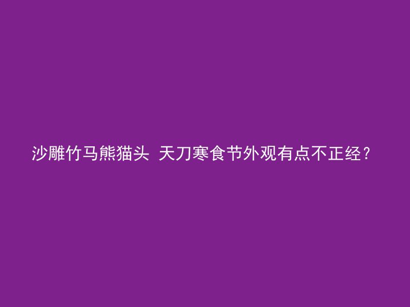 沙雕竹马熊猫头 天刀寒食节外观有点不正经？