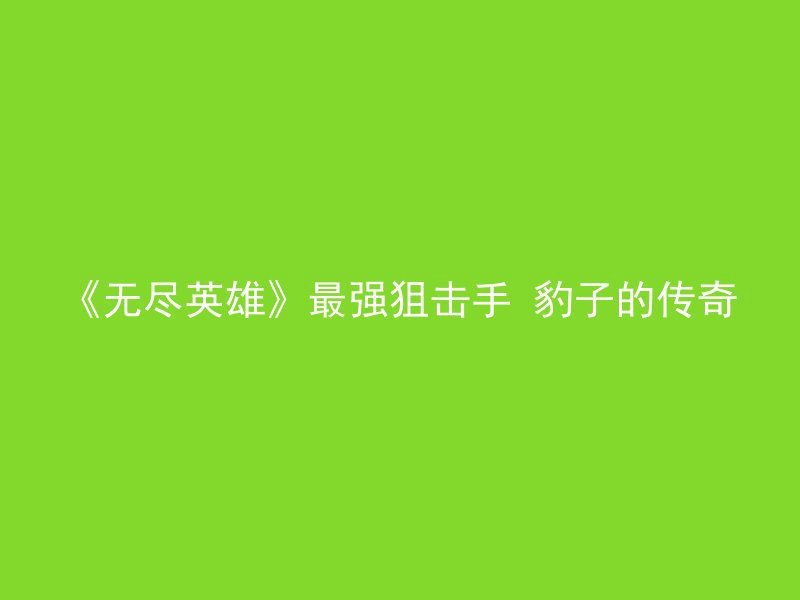 《无尽英雄》最强狙击手 豹子的传奇