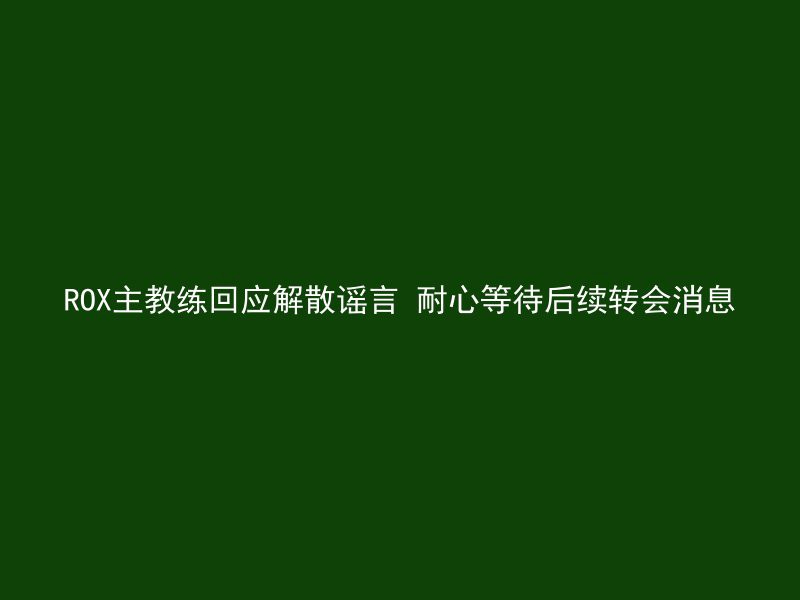 ROX主教练回应解散谣言 耐心等待后续转会消息