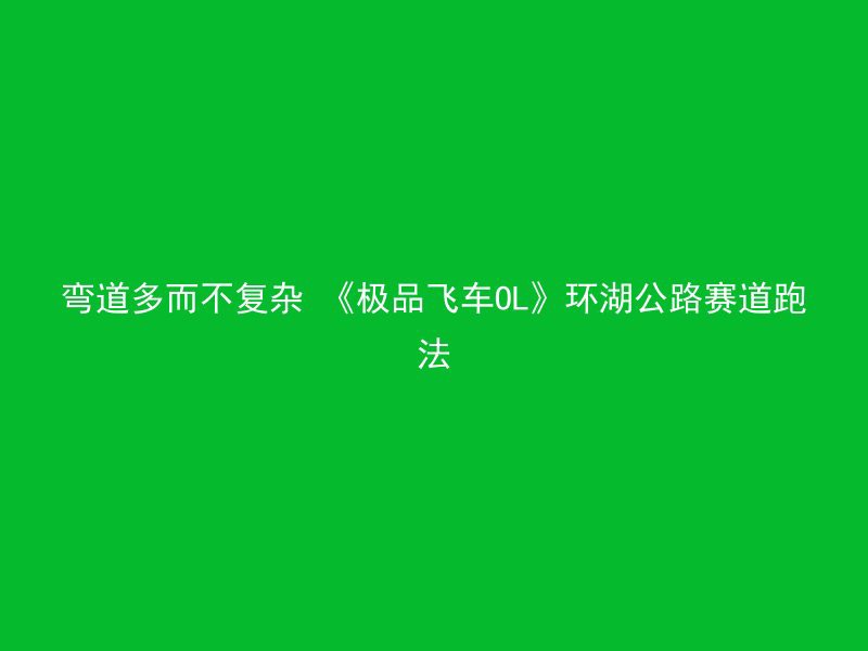 弯道多而不复杂 《极品飞车OL》环湖公路赛道跑法