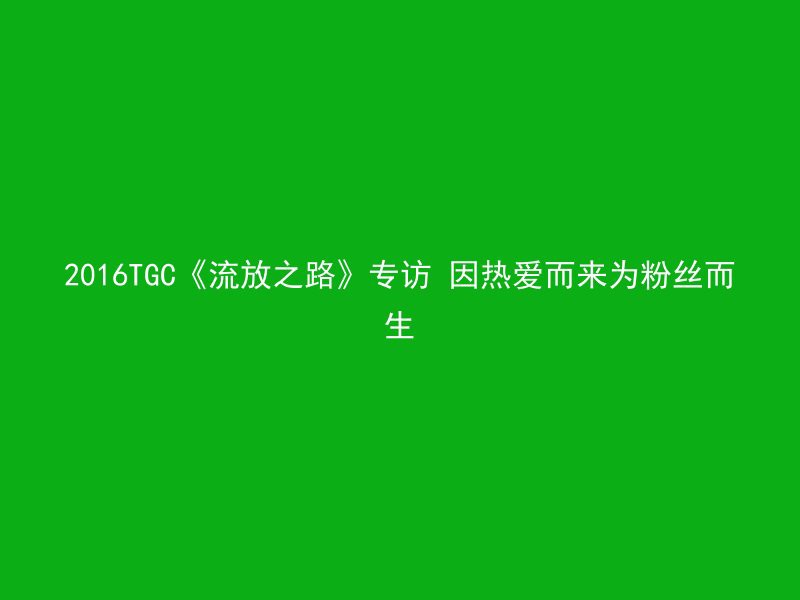 2016TGC《流放之路》专访 因热爱而来为粉丝而生