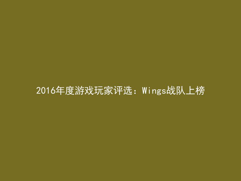 2016年度游戏玩家评选：Wings战队上榜