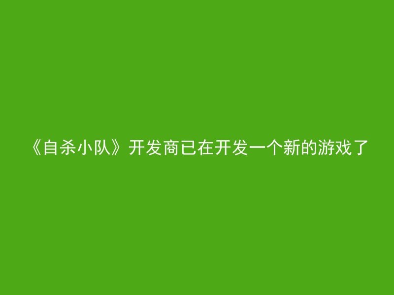 《自杀小队》开发商已在开发一个新的游戏了