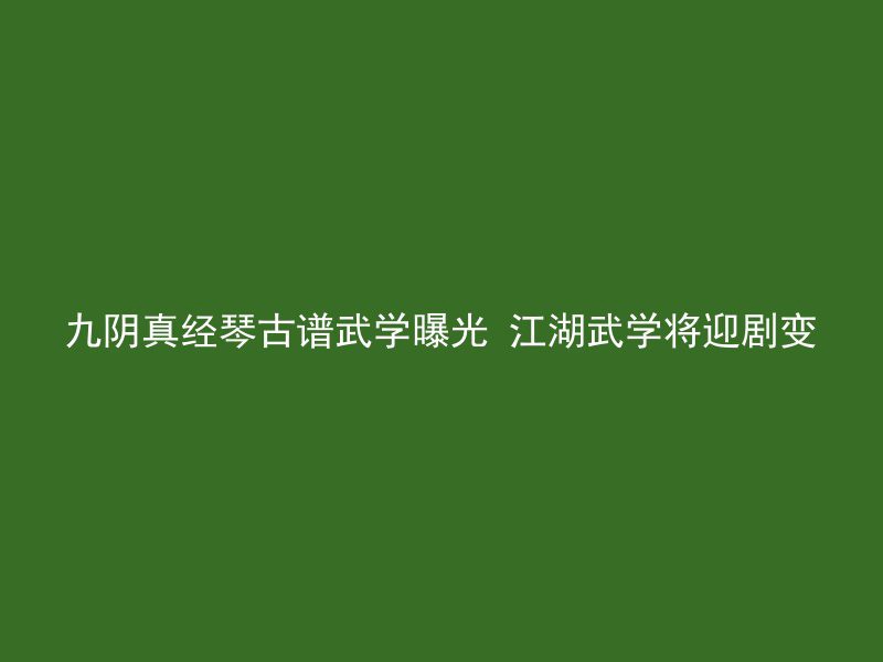 九阴真经琴古谱武学曝光 江湖武学将迎剧变