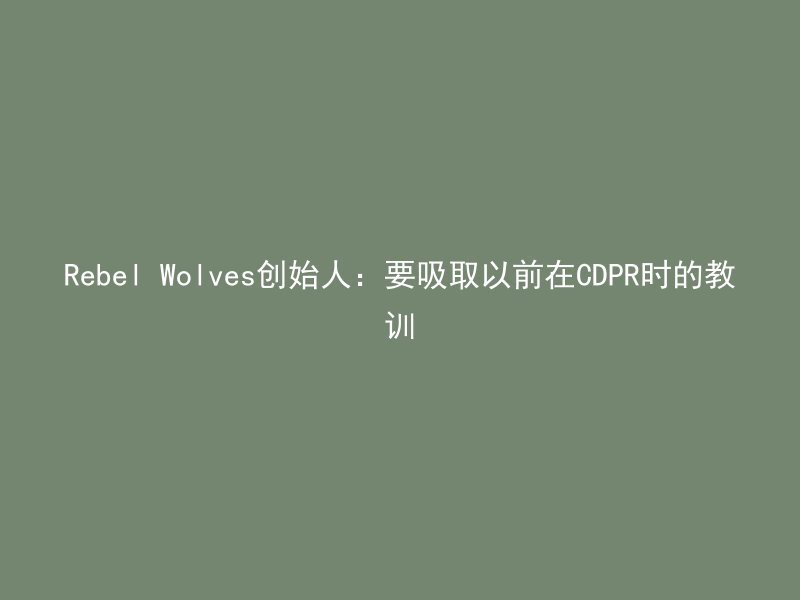 Rebel Wolves创始人：要吸取以前在CDPR时的教训