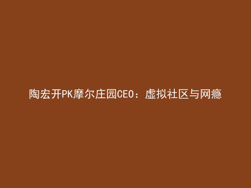 陶宏开PK摩尔庄园CEO：虚拟社区与网瘾