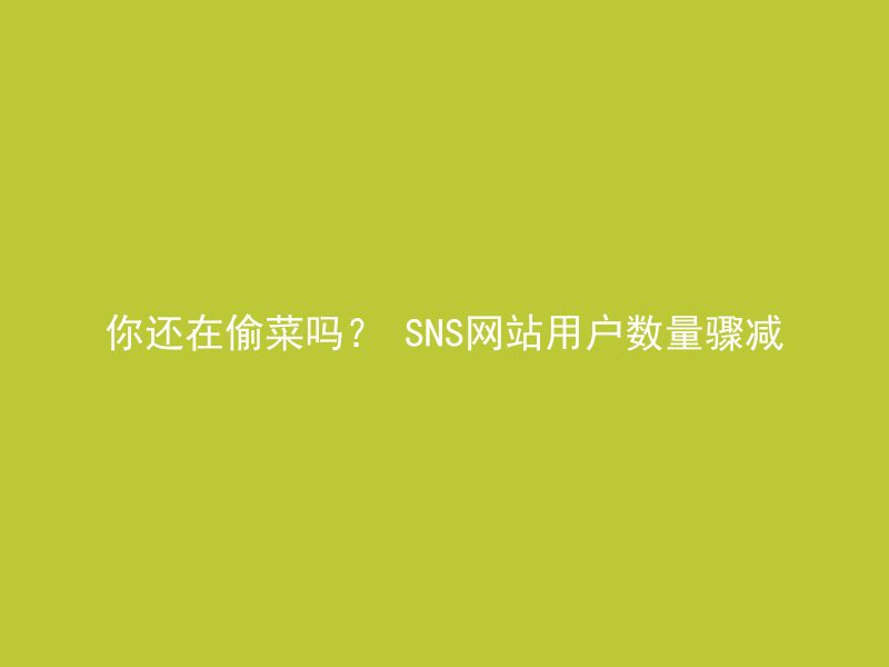 你还在偷菜吗？ SNS网站用户数量骤减