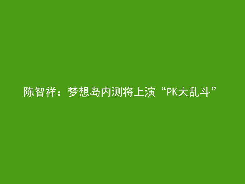 陈智祥：梦想岛内测将上演“PK大乱斗”