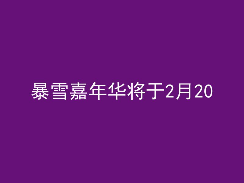 暴雪嘉年华将于2月20