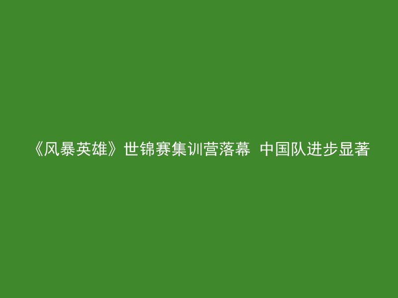 《风暴英雄》世锦赛集训营落幕 中国队进步显著