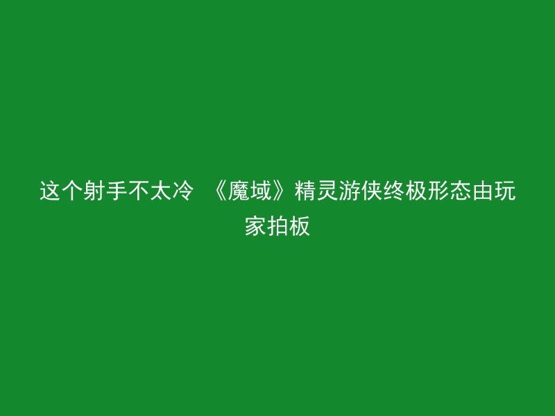 这个射手不太冷 《魔域》精灵游侠终极形态由玩家拍板