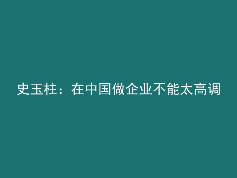 史玉柱：在中国做企业不能太高调