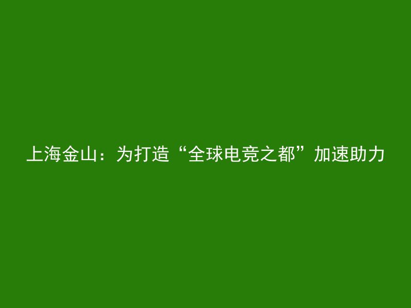 上海金山：为打造“全球电竞之都”加速助力